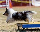 20160618-cckc-0359