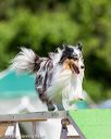 20160618-cckc-0366