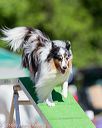 20160618-cckc-0367