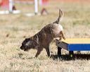 20160618-cckc-0374