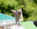 20160618-cckc-0377