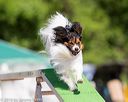 20160618-cckc-0393