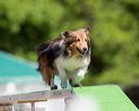 20160618-cckc-0406