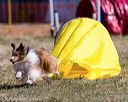 20160618-cckc-0412