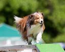 20160618-cckc-0420