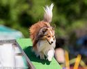 20160618-cckc-0423