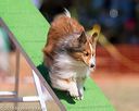 20160618-cckc-0426