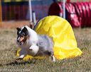 20160618-cckc-0429
