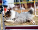 20160618-cckc-0430
