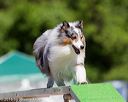 20160618-cckc-0434