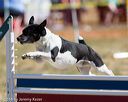 20160618-cckc-0278