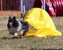 20160618-cckc-0281