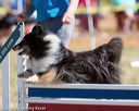 20160618-cckc-0283