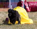 20160618-cckc-0288