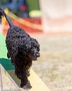 20160618-cckc-0298