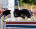 20160618-cckc-0079