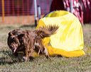 20160618-cckc-0083