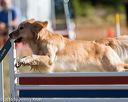 20160618-cckc-0089