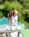 20160618-cckc-0112