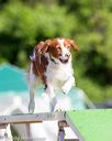 20160618-cckc-0113