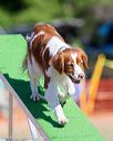 20160618-cckc-0115
