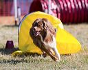 20160618-cckc-0136