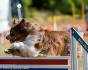 20160618-cckc-0137