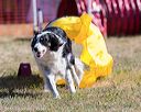 20160618-cckc-0144