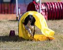 20160618-cckc-0157