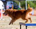 20160618-cckc-0171