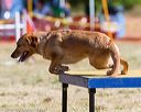 20160618-cckc-0180