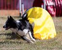 20160618-cckc-0186