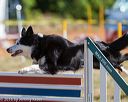 20160618-cckc-0197