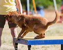 20160618-cckc-0208