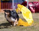 20160618-cckc-0228