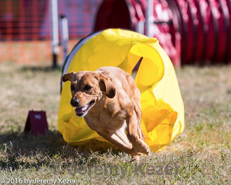 20160618-cckc-0176.jpg