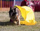 20160618-cckc-0043
