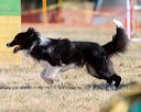 20160618-cckc-0007