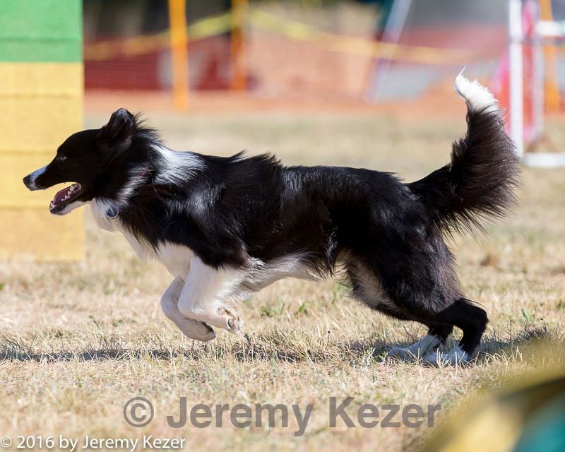 20160618-cckc-0007.jpg