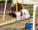 20160618-cckc-2644