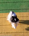 20160618-cckc-2651
