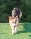20160618-cckc-2663