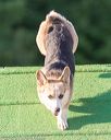 20160618-cckc-2664