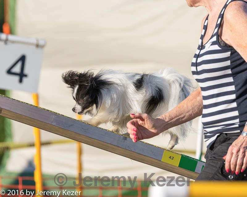 20160618-cckc-2638.jpg
