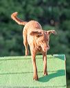 20160618-cckc-2612