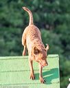 20160618-cckc-2613