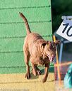 20160618-cckc-2618