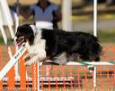 20160618-cckc-2564