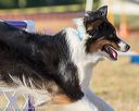 20160618-cckc-2576