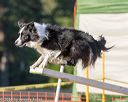20160618-cckc-2584